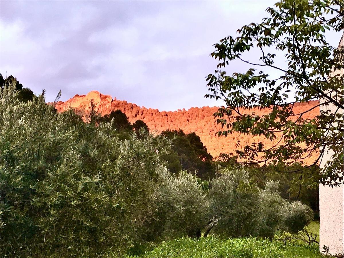 Casa Rural Cortijo La Ajedrea Siles Esterno foto